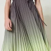 Robes De Cérémonie | Robes Élégantes*TWINSET Milano Robe Longue En Crêpe Georgette Plissé Imprimé Bicolore Gris « Blackened Pearl »/Vert « Soft Lime »